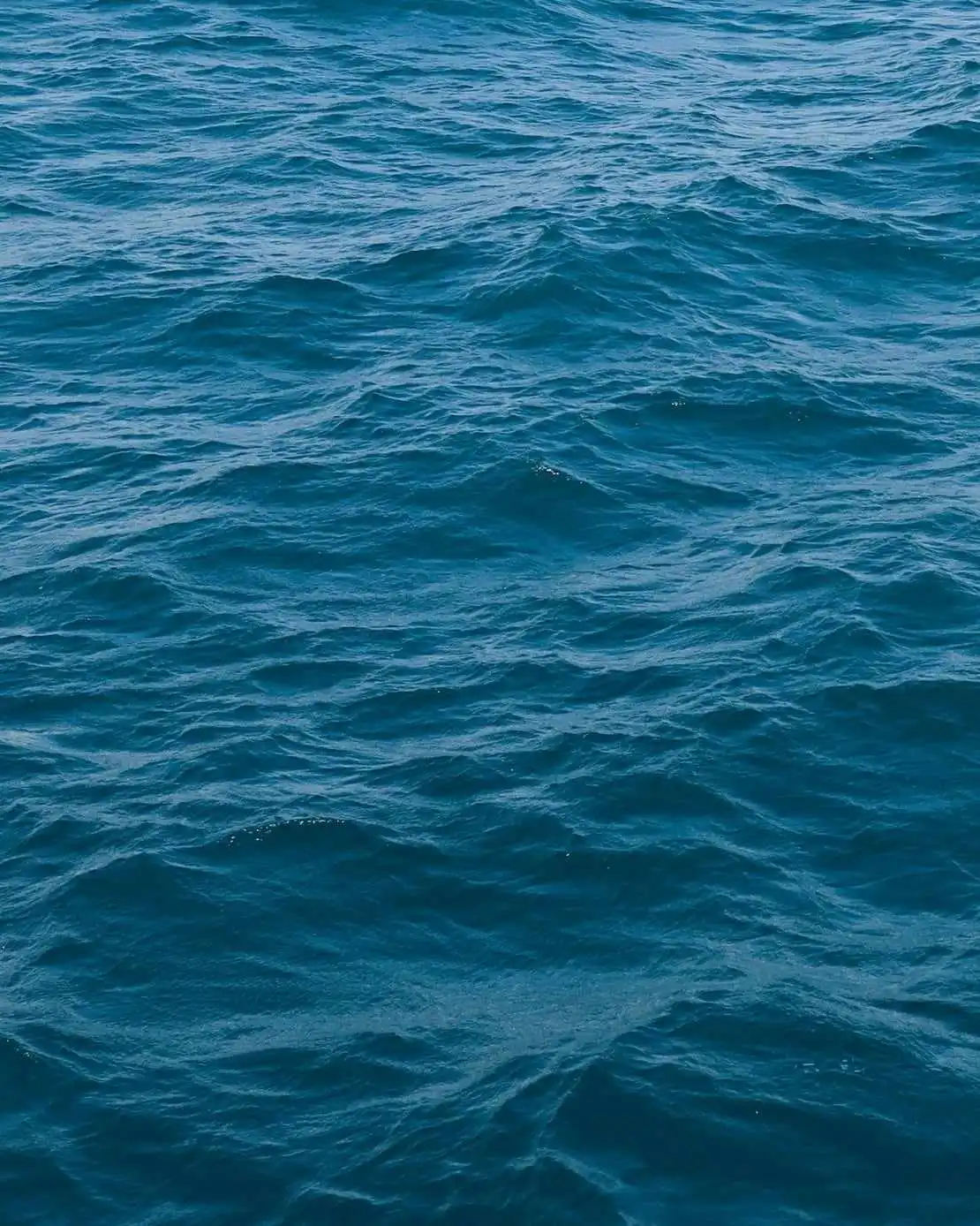 zee malaga