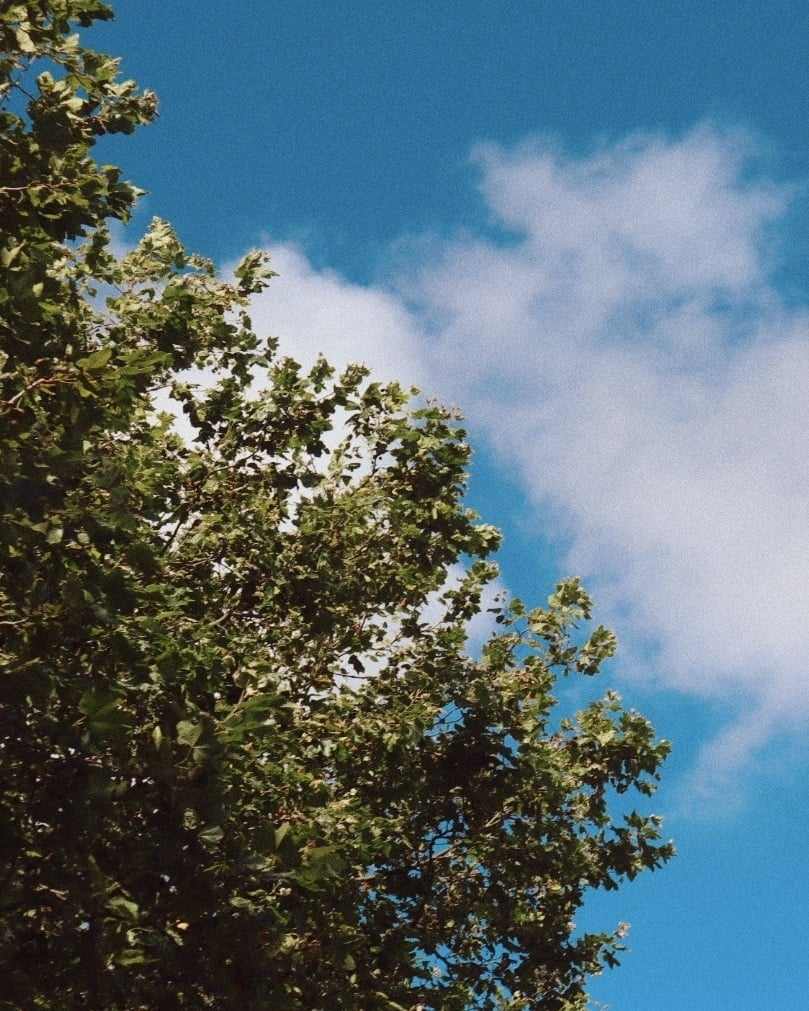 porto lucht