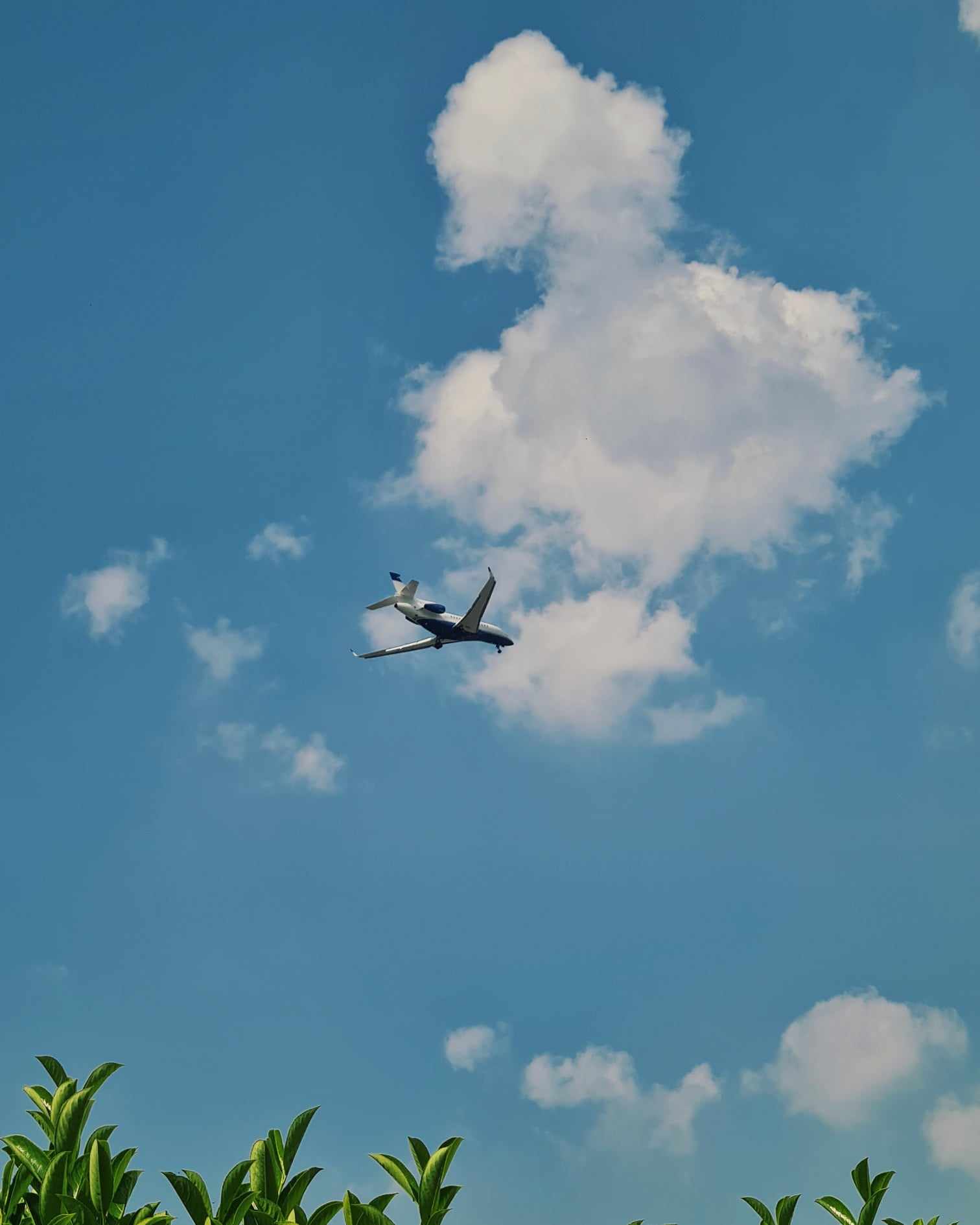een vliegtuig die boven Wevelgem vloog